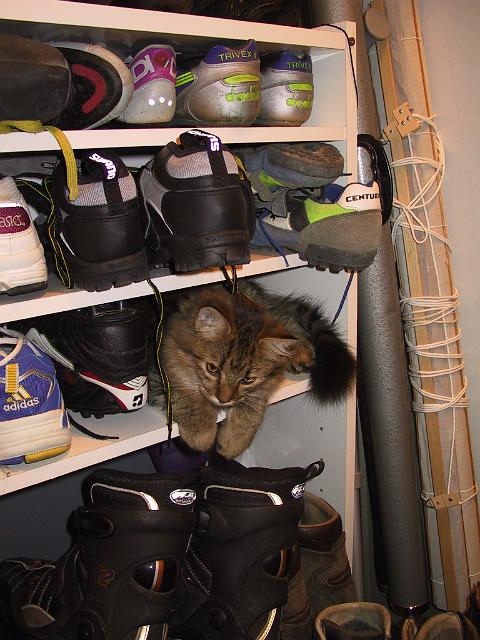 100-0050_IMG.JPG
