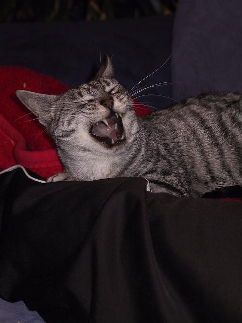 Img0022.JPG