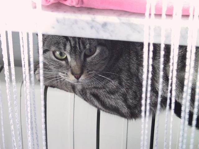Img0044.JPG