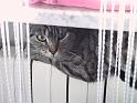 Img0044