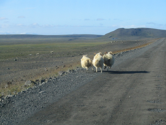 20050827_185047_1.jpg