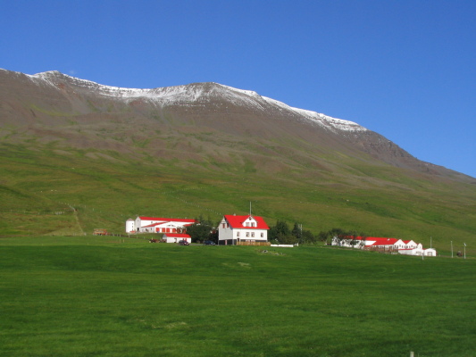 20050827_195539_1.jpg