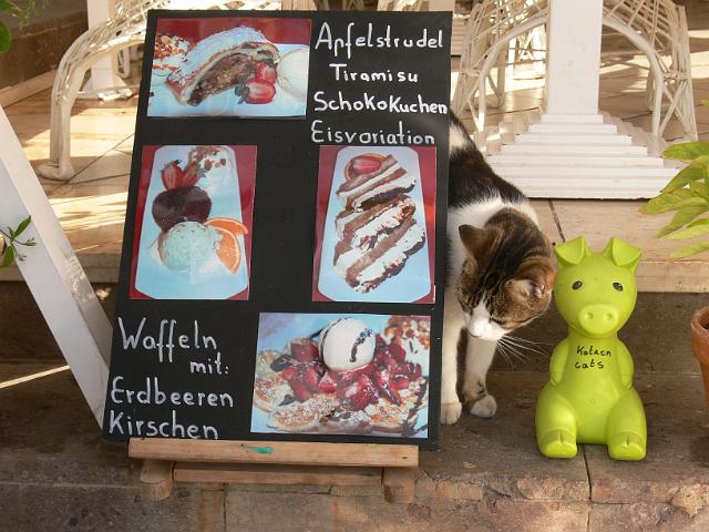 20071112_154538_1.jpg - Inselrundfahrt