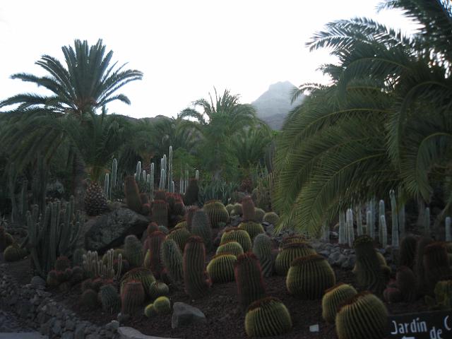 20071111_162032_1.jpg - Kactus-Park
