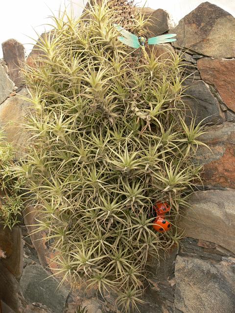 20071108_164036_1.jpg