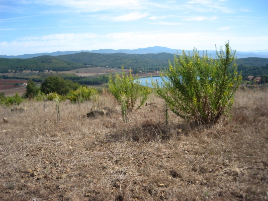 20070923_111432_1.jpg
