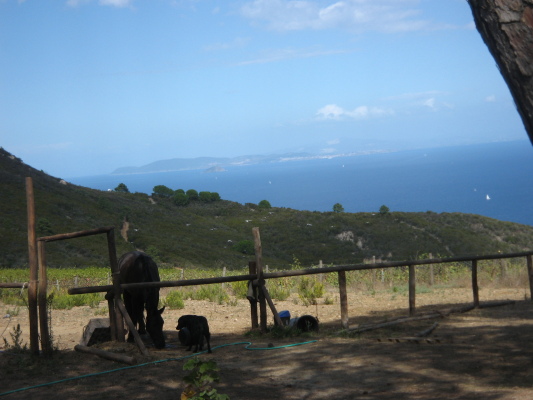 20070926_135247_1.jpg