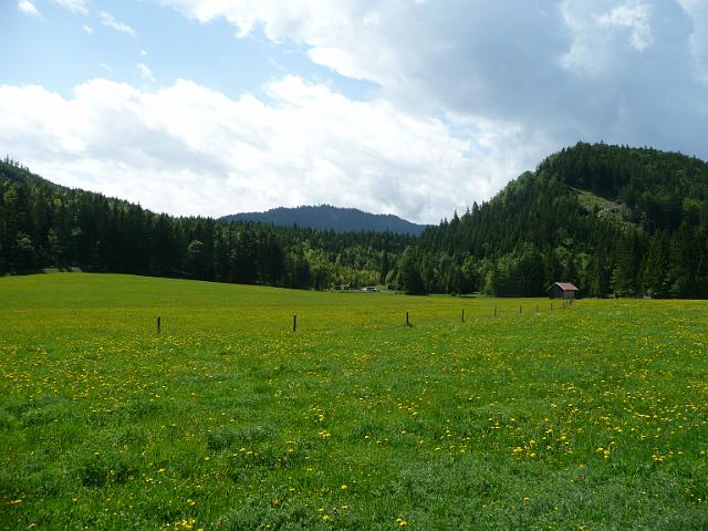 TAV0905_00015.jpg