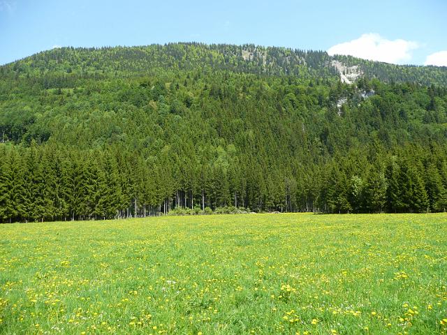 TAV0905_00016.jpg