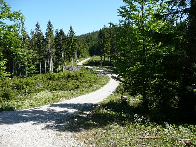 TAV0905_00037.jpg