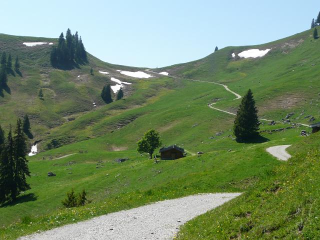 TAV0905_00060.jpg