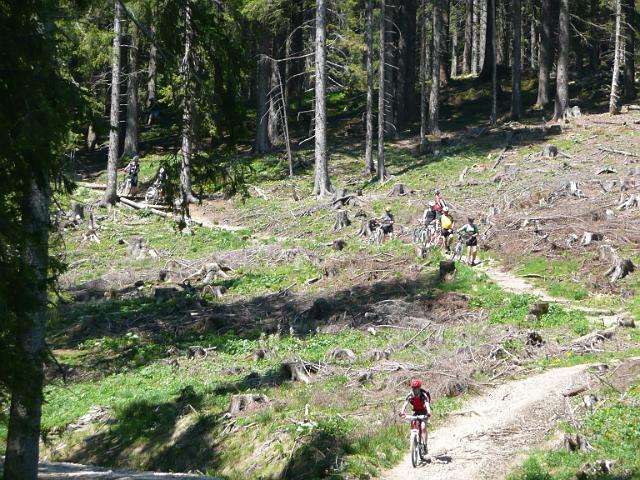 TAV0905_00066.jpg