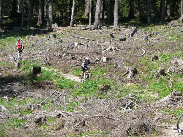 TAV0905_00067.jpg