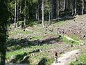 TAV0905_00066