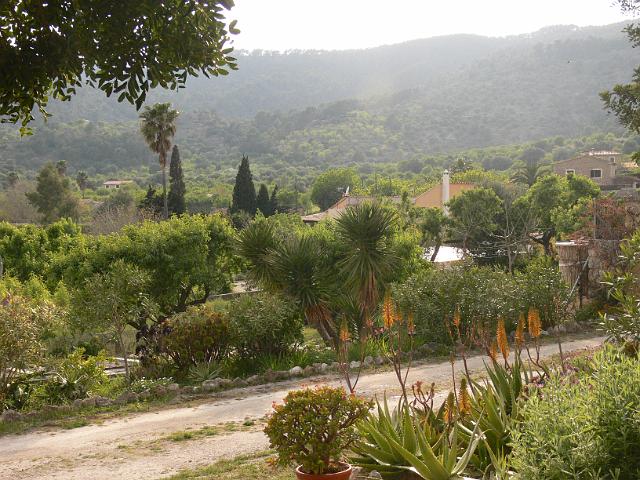 M0904_00002.jpg - Finca Alaro