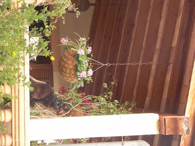 M0904_00010.jpg