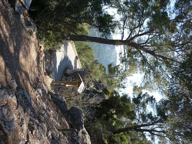 M0904_00036.jpg