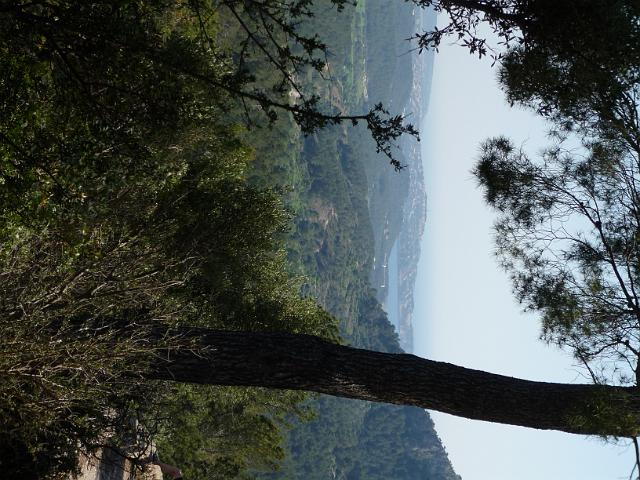 M0904_00037.jpg