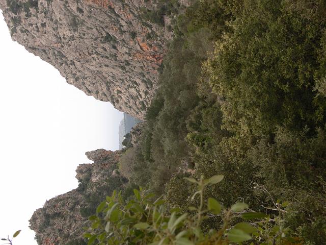M0904_00079.jpg