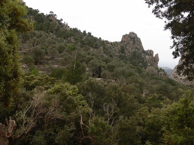 M0904_00080.jpg