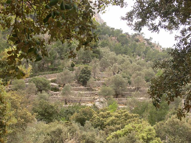 M0904_00081.jpg