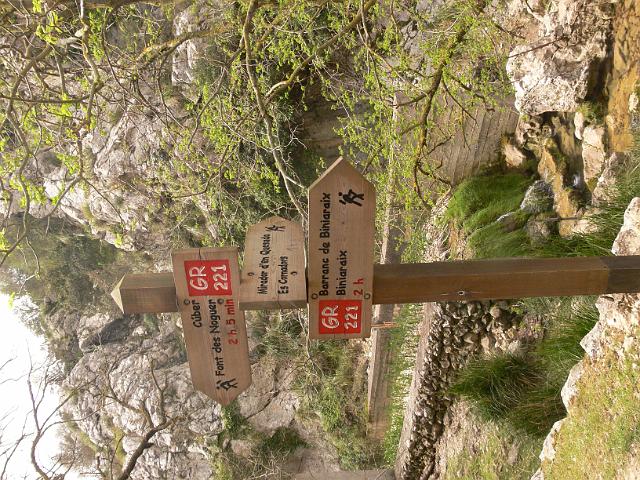 M0904_00091.jpg