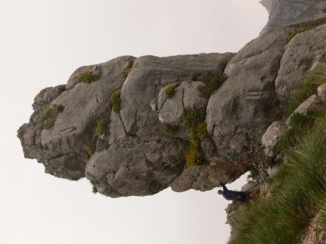 M0904_00111.jpg