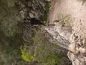 M0904_00087