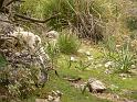 M0904_00092