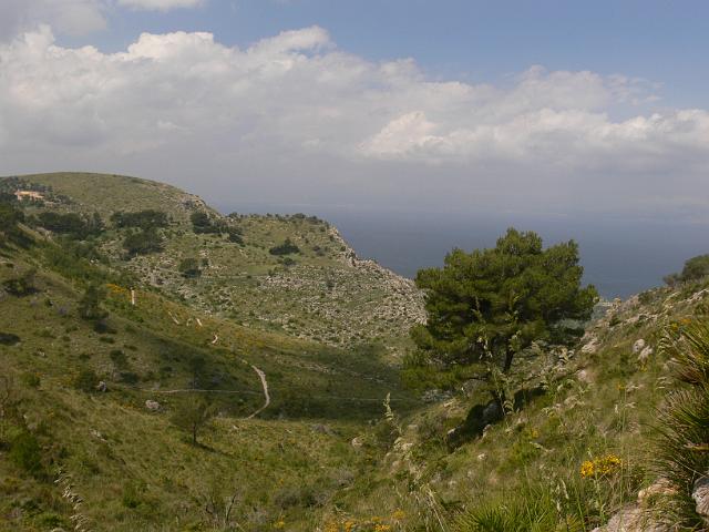 M0904_00143.jpg