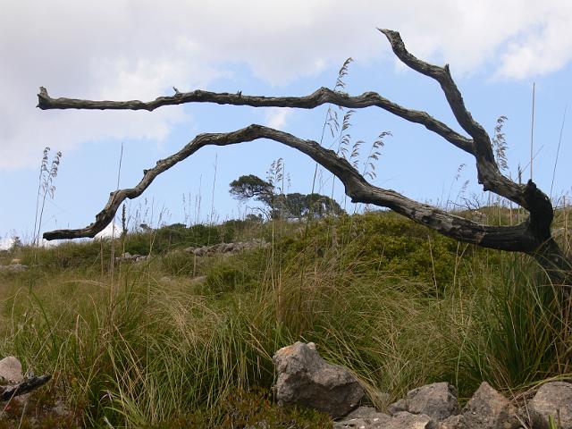 M0904_00161.jpg