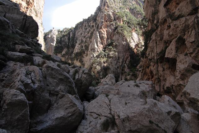 M0904_00339.jpg