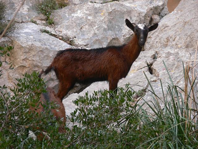 M0904_00348.jpg