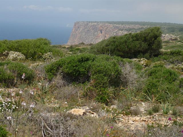 M0904_00358.jpg