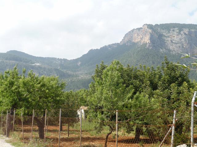 M0904_00365.jpg