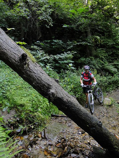 AlpXTrentino_00140.jpg -                                