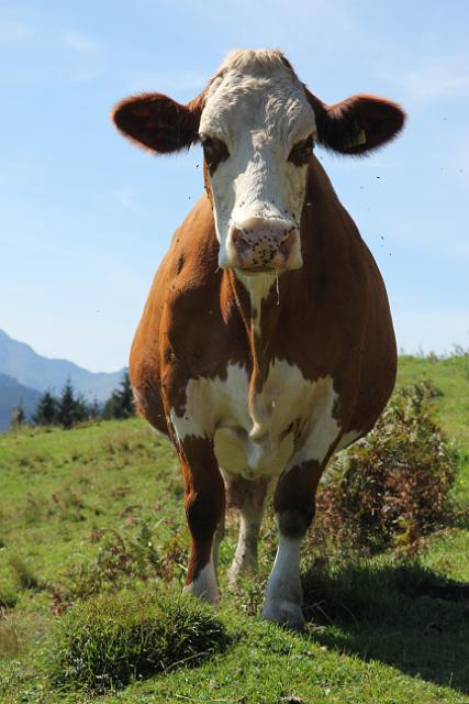 2011Leogang_00012.jpg