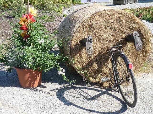 2011Leogang_00037.jpg