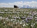 MTBSteinegg_00010