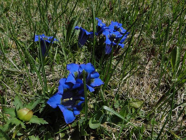 MTBSteinegg_00170.jpg -                                