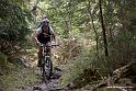 MTBSteinegg_00210