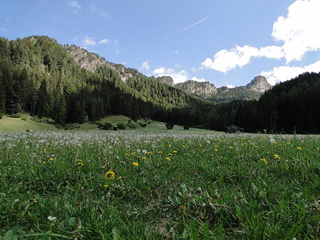 MTBSteinegg_00308.jpg -                                