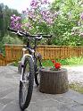 MTBSteinegg_00295
