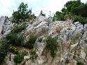 2011Makarska_00360