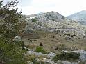 2011Makarska_00373