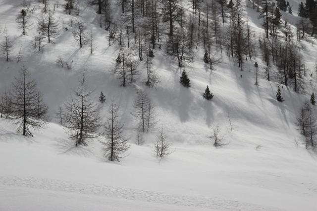SSVinschgau_00333.jpg