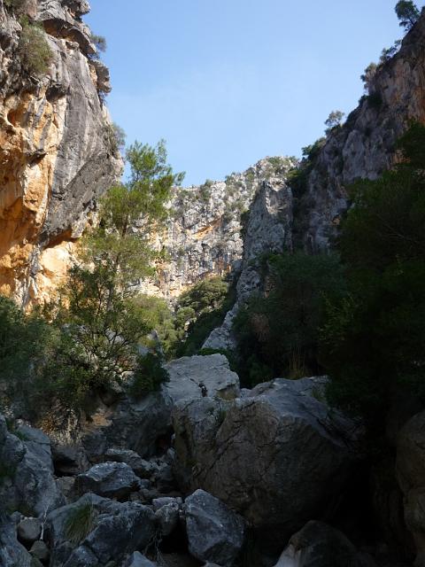 201209Malle_00071.jpg