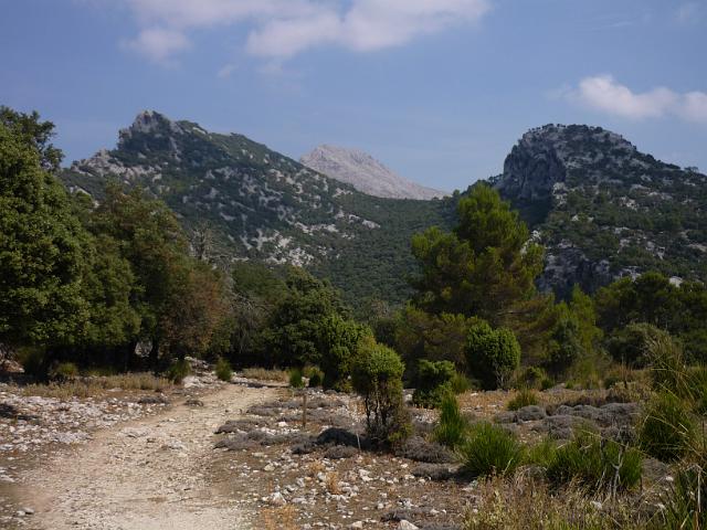 201209Malle_00085.jpg
