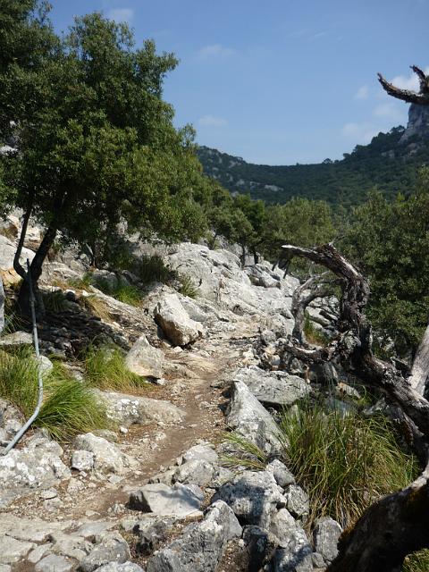201209Malle_00095.jpg