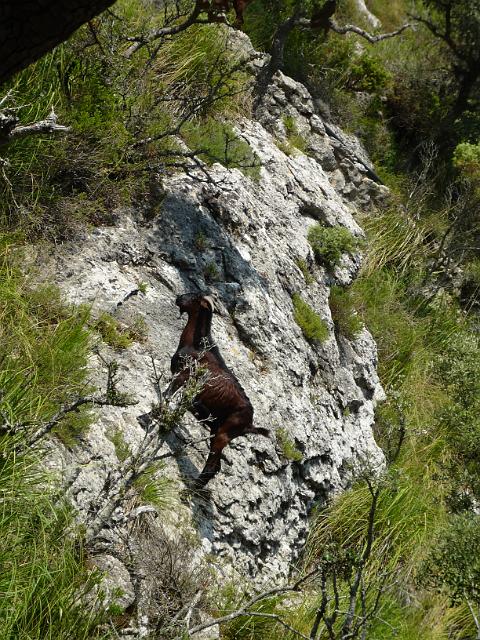 201209Malle_00115.jpg
